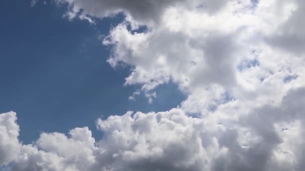 Timelapse Nubes Oscuras Reunidas Antes Una Tormenta — Vídeos de Stock