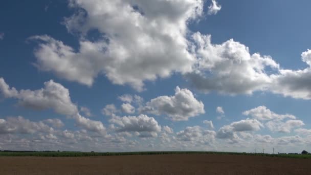 Lapso Tempo Belas Nuvens Brancas Fofas Movidas Pelo Vento Céu — Vídeo de Stock