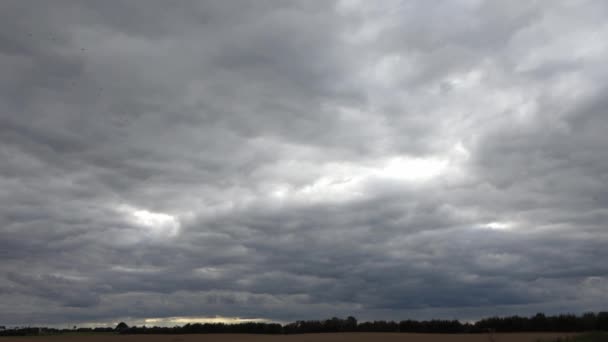 Lapso Tempo Belas Nuvens Brancas Fofas Movidas Pelo Vento Céu — Vídeo de Stock