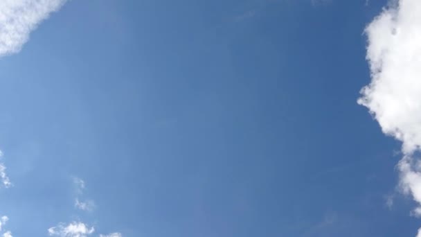 Zeitraffer Atemberaubender Cirrus Wolkenformationen Einem Tiefblauen Sommerhimmel — Stockvideo