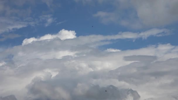 Lapso Tempo Formações Nuvens Cirros Deslumbrantes Céu Azul Profundo Verão — Vídeo de Stock