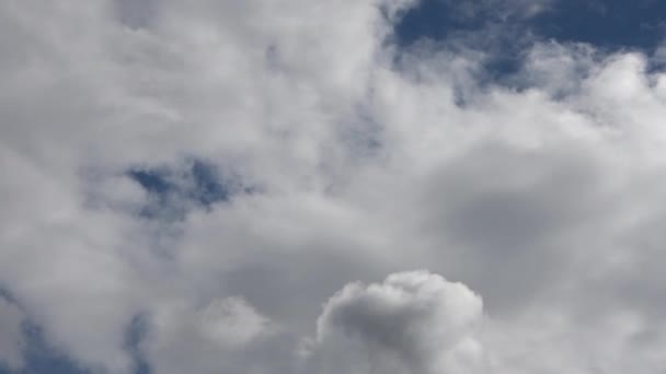 Lapso Tempo Formações Nuvens Cirros Deslumbrantes Céu Azul Profundo Verão — Vídeo de Stock