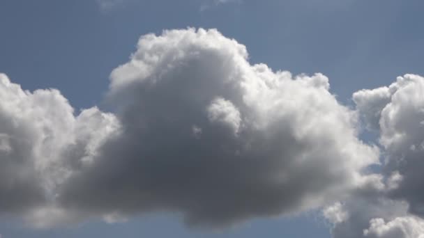 Lapso Tempo Formações Nuvens Cirros Deslumbrantes Céu Azul Profundo Verão — Vídeo de Stock