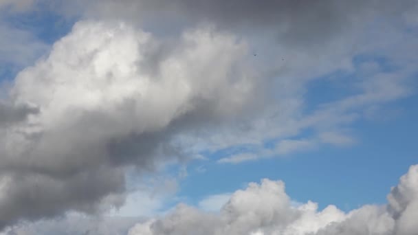 Time Lapse Stunning Cirrus Cloud Formations Deep Blue Summer Sky — Stock Video