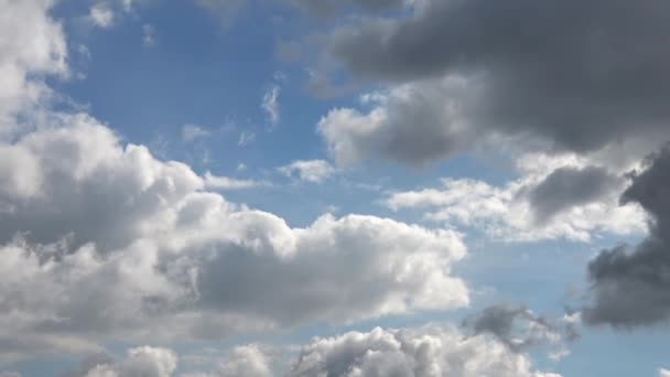 在深蓝色的夏日天空中惊人的卷云形成的时间流逝 — 图库视频影像