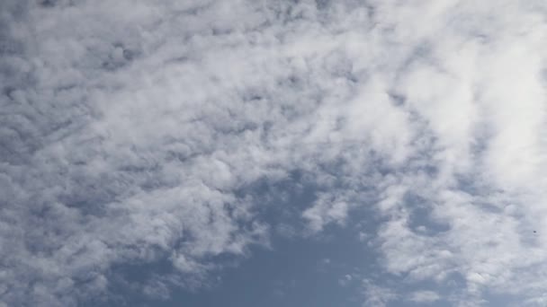 Derin Mavi Bir Yaz Gökyüzünde Çarpıcı Bir Sirrus Bulutu Oluşumunun — Stok video