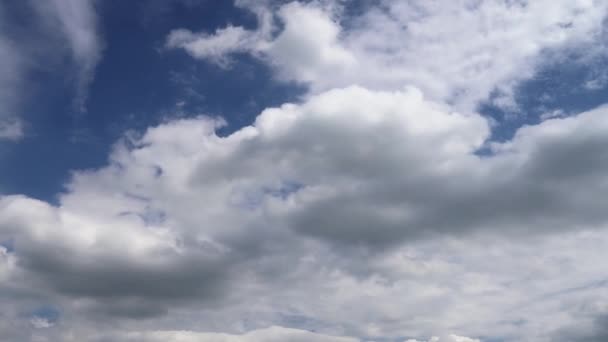 Lapso Tiempo Impresionantes Formaciones Nubes Cirros Cielo Azul Profundo Verano — Vídeos de Stock