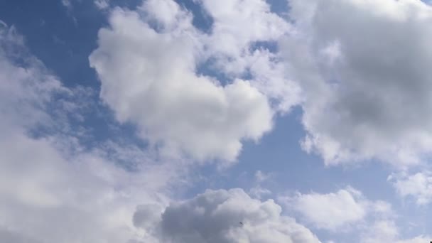 在深蓝色的夏日天空中惊人的卷云形成的时间流逝 — 图库视频影像