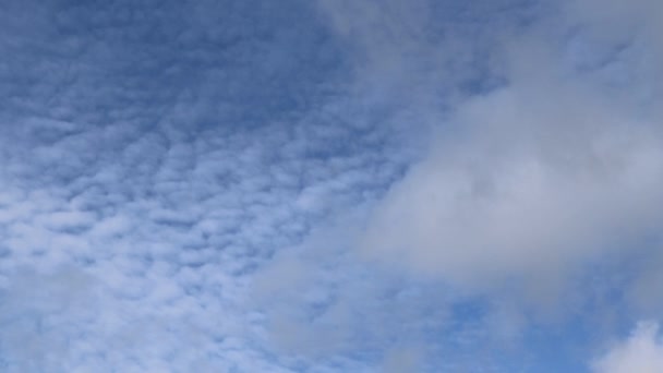 Lapso Tempo Formações Nuvens Cirros Deslumbrantes Céu Azul Profundo Verão — Vídeo de Stock