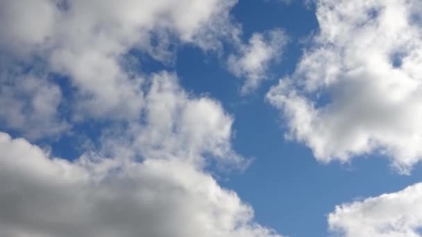 Tidsförlopp Fantastiska Cirrusmoln Formationer Djup Blå Sommar Himmel — Stockvideo