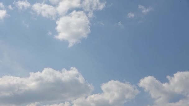 Time Lapse Splendide Formazioni Nubi Cirri Cielo Estivo Blu Intenso — Video Stock
