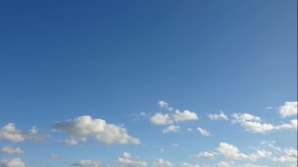 Derin Mavi Bir Yaz Gökyüzünde Pofuduk Beyaz Bulut Oluşumlarının Zaman — Stok video