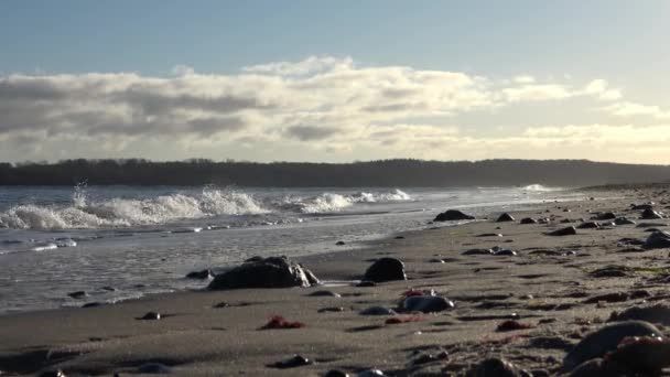 北ドイツの晴れた日にバルト海の砂浜で美しい景色 — ストック動画