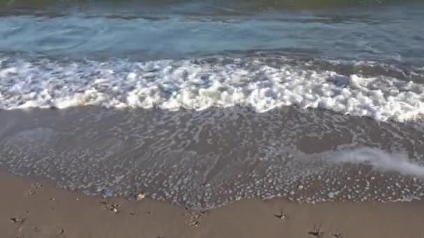 Prachtig Uitzicht Zandstranden Aan Baltische Zee Een Zonnige Dag Noord — Stockvideo