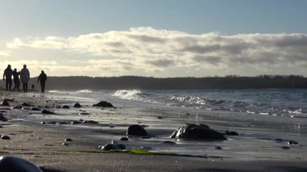 Silhouette Persone Piedi Spiagge Sabbiose Mare Baltico Una Giornata Sole — Video Stock