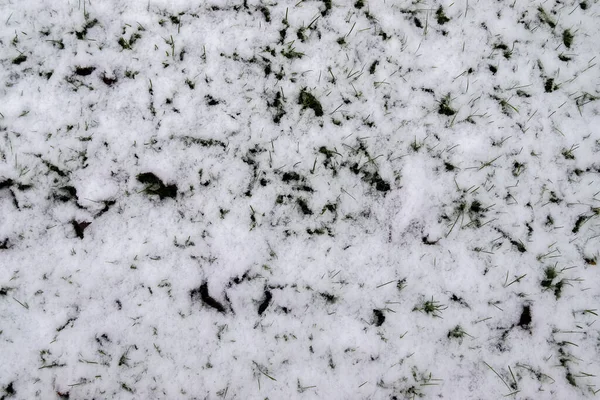 自然背景の質感 緑の芝生の上で最初の雪 トップ表示 — ストック写真