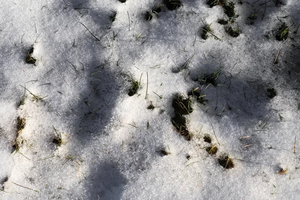 自然背景の質感 緑の芝生の上で最初の雪 トップ表示 — ストック写真