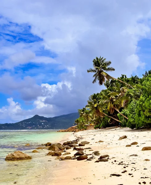 Dia Ensolarado Vista Praia Sobre Ilhas Paradisíacas Seychelles — Fotografia de Stock