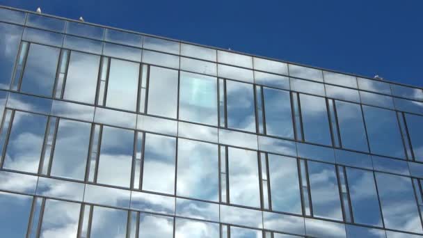 Upływ Czasu Błękitnego Letniego Nieba Chmurami Odbitymi Szklanej Fasady Biurowca — Wideo stockowe