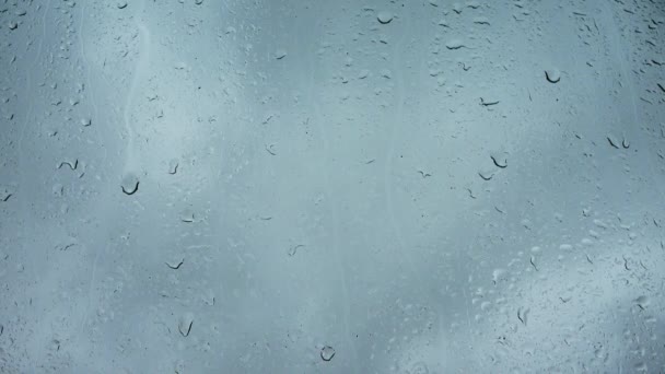 雨は近くの景色の中で窓を走って落ちる — ストック動画
