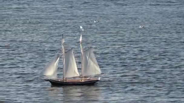 Távirányítású Két Árbocos Vitorlás Hajó Halad Nyugodt Baltikum Tengeren — Stock videók
