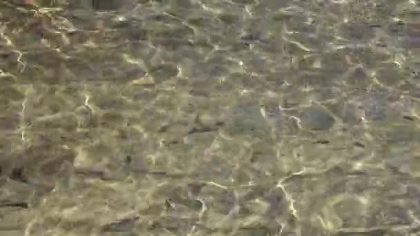 Agua Flotante Reflejando Luz Del Sol Una Fuente Que Encuentra — Vídeo de stock