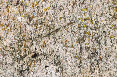 Granit taş dokusu yüksek çözünürlüklü detaylı bir yakın çekim görüntüsüyle.