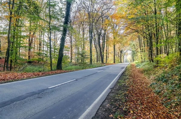 Krásný Výhled Venkovské Silnice Lesy Stromy Severní Evropě — Stock fotografie