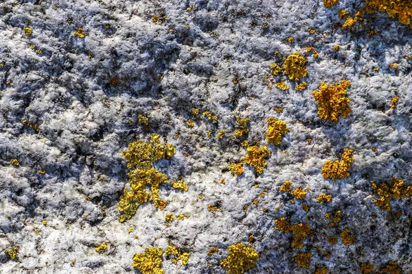 고해상도로 자세히 가까이 화강암 — 스톡 사진