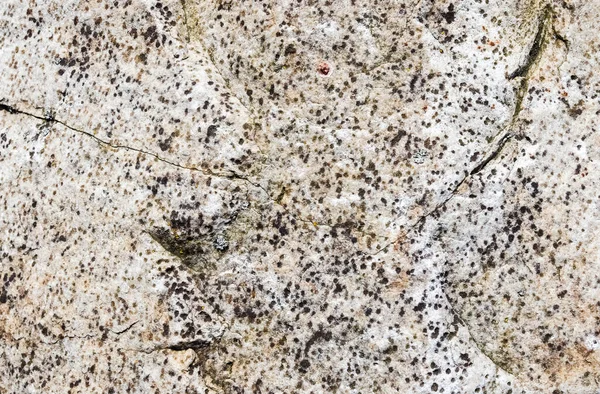 Granite Stone Texture Detailed Close View High Resolution — Stock Photo, Image