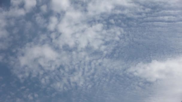 Koyu Mavi Bir Yaz Gökyüzünde Güzel Pofuduk Beyaz Bulut Oluşumları — Stok video