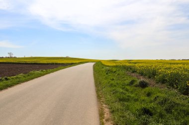 Kuzey Avrupa 'da tarlaları olan kırsal yolların güzel manzarası.