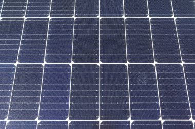 Kuzey Avrupa 'daki büyük bir parkta güneş modülleriyle temiz enerji üretiyor..