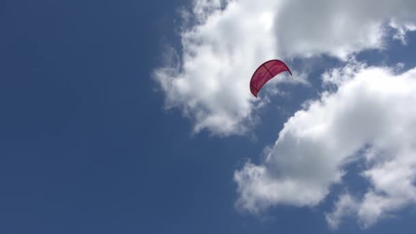 Veel Kitesurfen Het Oostzeestrand Van Laboe Duitsland Een Zonnige Dag — Stockvideo