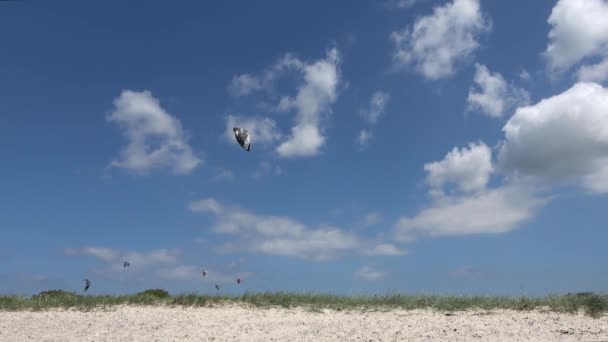 Sporo Zajęć Kitesurfingu Bałtyckiej Plaży Laboe Niemczech Słoneczny Dzień — Wideo stockowe