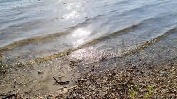 Piękny Krajobraz Nad Jeziorem Refleksyjną Powierzchnią Wody — Wideo stockowe