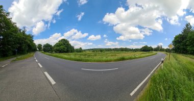 Kuzey Avrupa 'da tarlaları ve ağaçları olan kırsal yol manzarası.