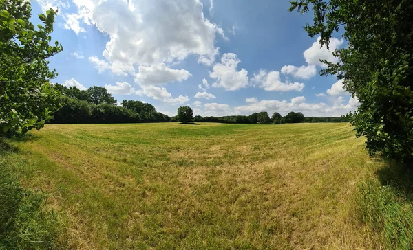 Krásné Panorama Severoevropské Krajiny Vysokým Rozlišením Poli Zelenou Trávou — Stock fotografie