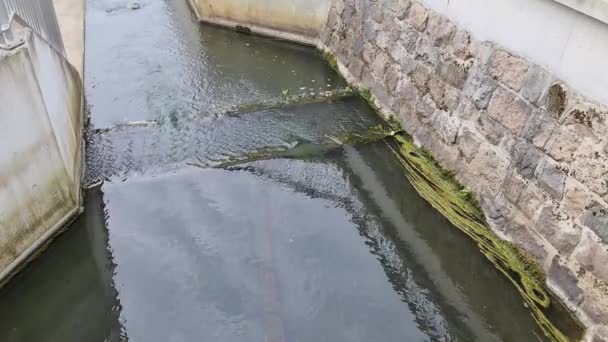 Vista Superior Del Agua Flotante Una Alcantarilla — Vídeos de Stock