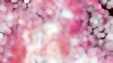 Ormandaki ağaçların bulanık odak arkaplanı. Bokeh ve ışık ile soyut kavram.