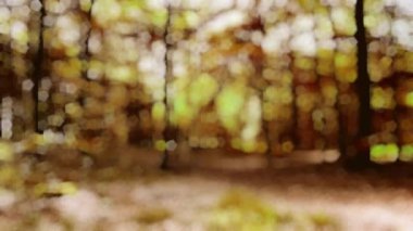 Ormandaki ağaçların bulanık odak arkaplanı. Bokeh ve ışık ile soyut kavram.