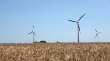 Altın buğday tarlalarında enerji üreten yel değirmenlerine seçici odaklanma