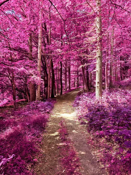 Розовые Фиолетовые Инфернальные Панорамы Сельского Пейзажа Голубым Небом — стоковое фото