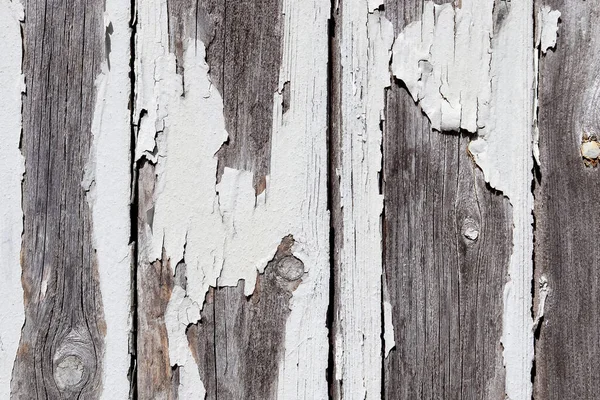 不同木材表面的详细近景 以高分辨率显示木板 圆木和木墙 — 图库照片