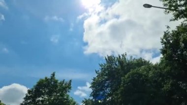 Ağaçların arasından geçen bir arabanın alçak açılı görüntüsü..