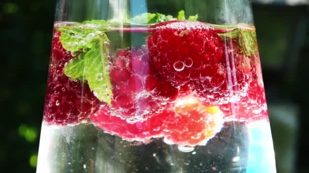 Close View Raspberries Mint Leaves Soda Bubbles — Stock Video