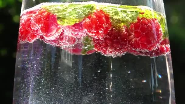 Close View Raspberries Mint Leaves Soda Bubbles — ストック動画