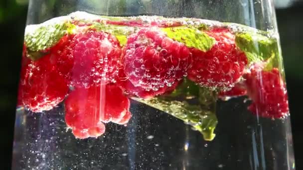 Close View Raspberries Mint Leaves Soda Bubbles — ストック動画