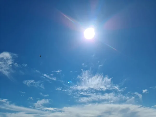 Hermosa Vista Los Rayos Sol Brillantes Con Algunas Bengalas Lentes —  Fotos de Stock