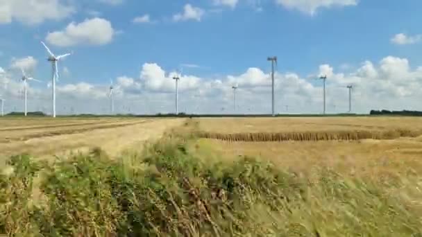 Zijaanzicht Vanuit Een Auto Die Langs Een Groot Windmolenpark Rijdt — Stockvideo